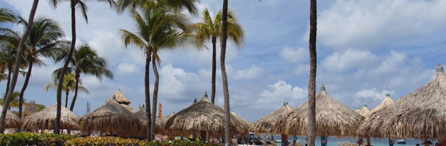 BUSINESS AND SPIRITUAL MOGUL