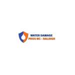 the Water Damage Pros Raleigh nc
