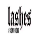 Lashes From Hols
