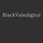 Black Vale Digital